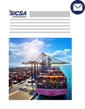 newsltter Boletín diseño